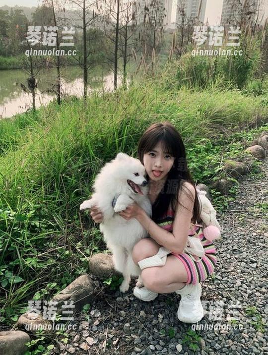 超详细51cgfun下载教程，带你轻松获取最新资源哦