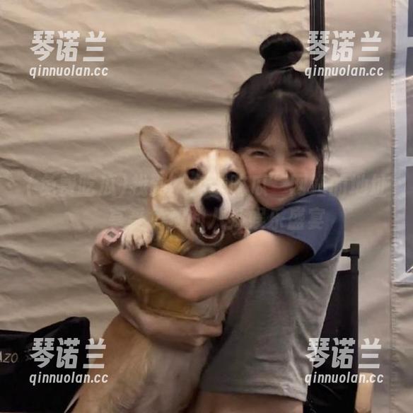 找到“免费吃瓜”网站的地址，享受免费的八卦娱乐盛宴