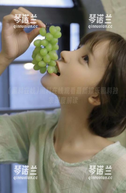 黑料在线观看最新娱乐黑料独家深度解读