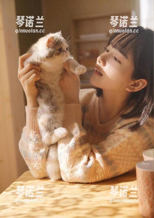 黑料网最新爆料倾情奉献，网址与线路助你获取独家信息！